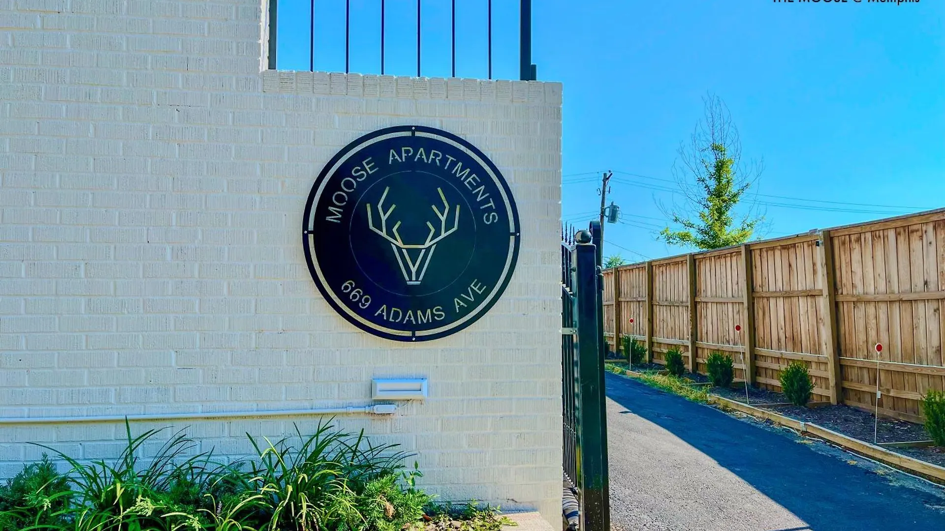 Apartamento The Moose #4 - Elvis Presley King Suite With Free Parking And Wifi Memphis Estados Unidos